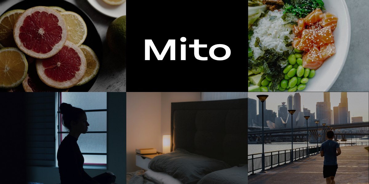 The 5 Key Holistic Pillars of Health Strategies for Extending Your